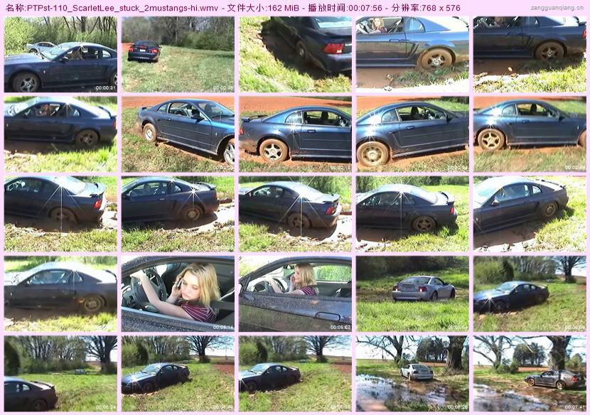 ptpst-110_ScarletLee_stuck_2mustangs